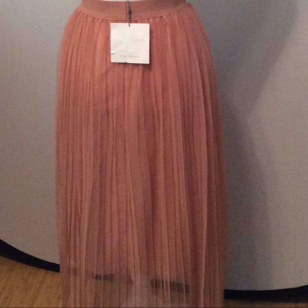 Zara midi skirt